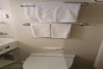 Deluxe Balcony Stateroom Picture