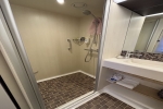 Interior Stateroom Cabin 12577. Picture
