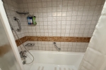 Junior Suite Stateroom Cabin 9234. Picture
