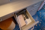 Deluxe Family Verandah Stateroom Picture