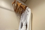 Junior Suite Stateroom Picture