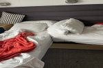 Sea Terrace Stateroom Picture