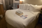 Veranda Stateroom Cabin 9179. Picture