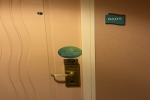 Promenade View Interior Stateroom Picture