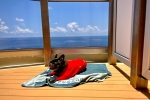 Balcony Stateroom Cabin 4054. Picture