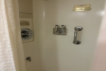 Interior Stateroom Cabin P331. Picture