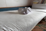 Oceanview Stateroom Cabin 3100. Picture