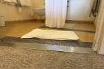 Minisuite Stateroom Cabin D703. Picture
