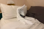 Interior Stateroom Cabin 3111. Picture