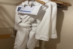 Junior Suite Stateroom Picture