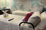Oceanview Stateroom Cabin 4202. Picture