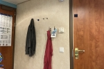 Oceanview Stateroom Cabin 4202. Picture