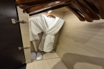 Haven Suite Stateroom Picture