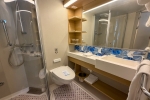Boardwalk and Central Park Balcony Stateroom Cabin 12319. Picture
