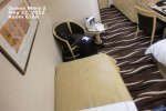 Inside Stateroom Picture