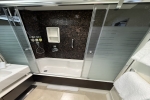 Courtyard Penthouse Stateroom Cabin 16124. Picture