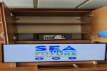 Superior Balcony Stateroom Cabin 8172. Picture