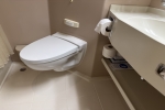 Verandah Stateroom Picture