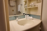 Oceanview Stateroom Cabin E619. Picture