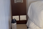 Deluxe Balcony Stateroom Picture