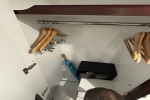 Stateroom Stateroom Cabin 205. Picture