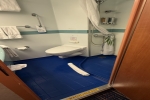 Full Window Stateroom Picture