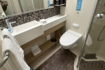 Interior Stateroom Cabin 8543. Picture
