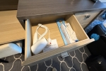 Oceanview Stateroom Cabin 10100. Picture