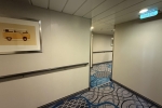 Oceanview Stateroom Cabin 7104. Picture