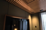 Haven-2-Bed Stateroom Cabin 13838. Picture