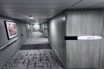 Edge Stateroom Cabin 7299. Picture
