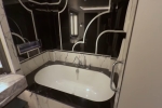 Master Suite Stateroom Picture