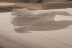 Deluxe Balcony Stateroom Cabin E334. Picture