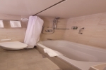 Mini-Suite Stateroom Picture