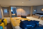 Oceanview Stateroom Cabin 4529. Picture