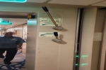 Oceanview Stateroom Cabin 2510. Picture