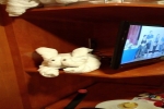 Mini-Suite Stateroom Cabin 11650. Picture