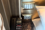 Veranda Stateroom Cabin 718. Picture