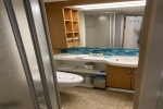 Boardwalk and Central Park Balcony Stateroom Cabin 12323. Picture