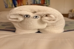 Interior Stateroom Picture