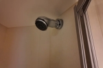 Verandah Stateroom Picture