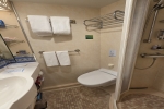 Interior Stateroom Cabin 1641. Picture