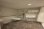 Spa Junior Suite Stateroom Cabin 8642. Picture