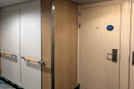 Boardwalk and Central Park Balcony Stateroom Cabin 12203. Picture