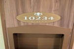 Interior Stateroom Cabin 10234. Picture
