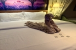 Deluxe Family Verandah Stateroom Picture