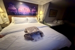 Deluxe Family Verandah Stateroom Picture