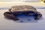 Deluxe Family Verandah Stateroom Picture