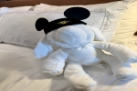 Deluxe Family Verandah Stateroom Picture