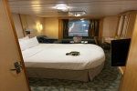 Atrium Promenade View Cabin Picture